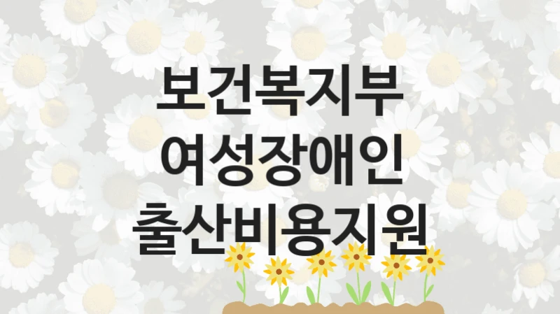 보건복지부
여성장애인 출산비용지원
