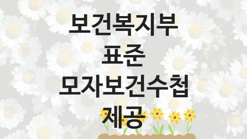 보건복지부
표준 모자보건수첩 제공