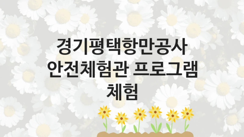 “안전체험관 프로그램 체험” 복지 혜택 자격 심사 및 접수 일정 – 경기평택항만공사 지원 정책