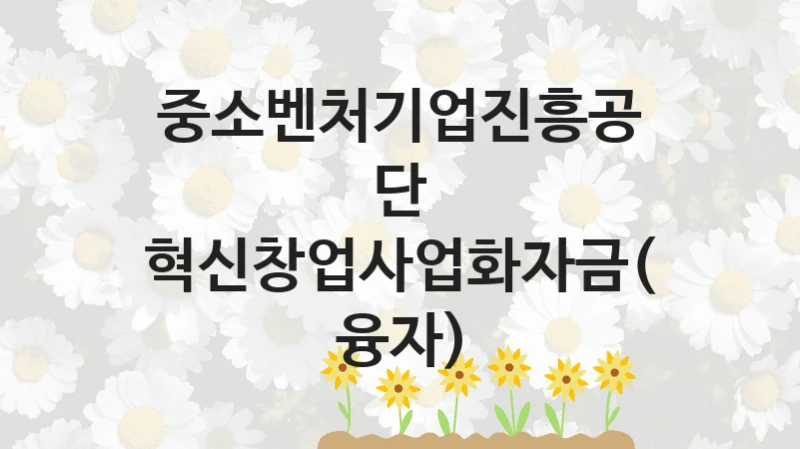 중소벤처기업진흥공단
혁신창업사업화자금(융자)