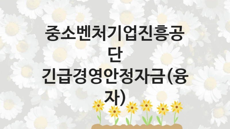 중소벤처기업진흥공단
긴급경영안정자금(융자)