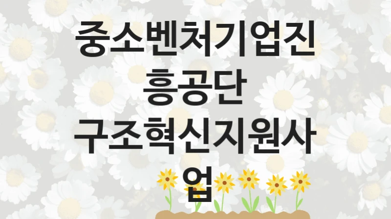 중소벤처기업진흥공단
구조혁신지원사업