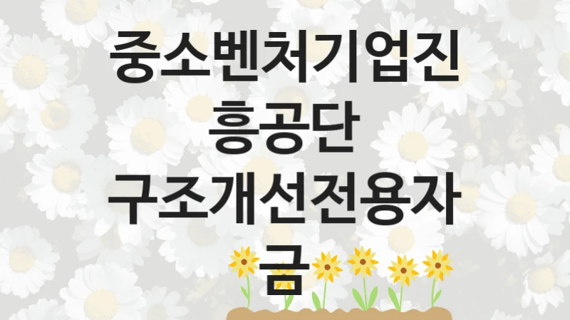 중소벤처기업진흥공단
구조개선전용자금