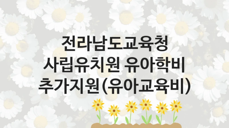 전라남도교육청
사립유치원 유아학비 추가지원(유아교육비)