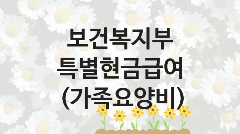 보건복지부 정책, 특별현금급여 (가족요양비), 자격 조건과 일정