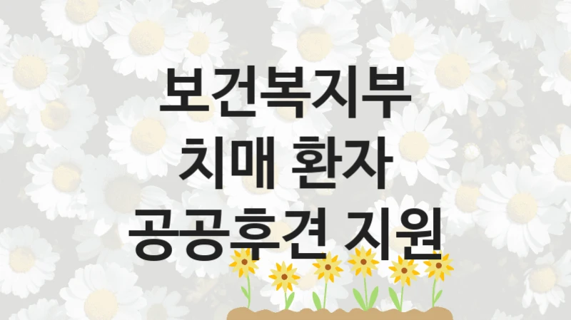 보건복지부 “치매 환자 공공후견 지원” 복지 지원혜택 – 자격 조건과 구비 서류