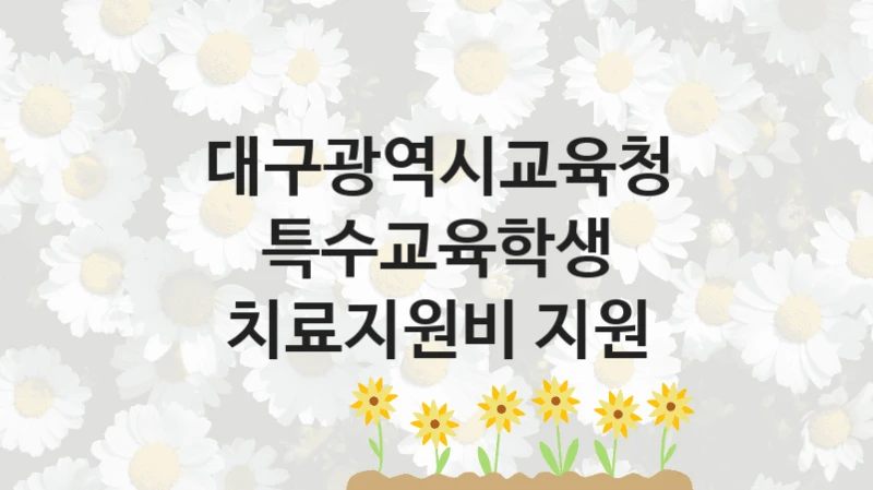 “특수교육학생 치료지원비 지원” 대구광역시교육청 복지지원 혜택 – 신청 조건과 자격 조건