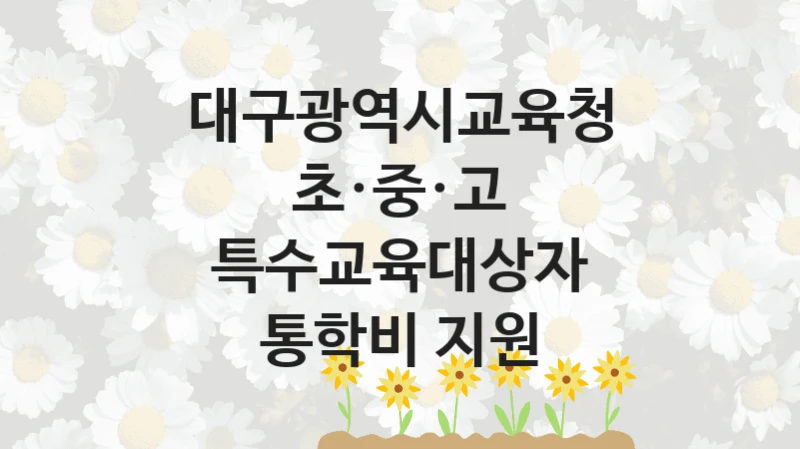 대구광역시교육청 “초·중·고 특수교육대상자 통학비 지원” 신청 필수 정보 – 접수 마감일과 신청 절차