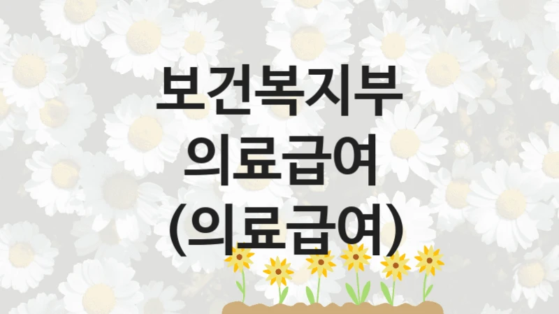 “의료급여 (의료급여)” 보건복지부 복지지원 혜택 – 신청 방법과 구비 서류