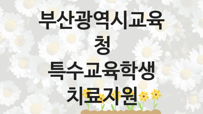 정부 복지 서비스 “특수교육학생 치료지원” – 부산광역시교육청 자격 요건과 신청 방법