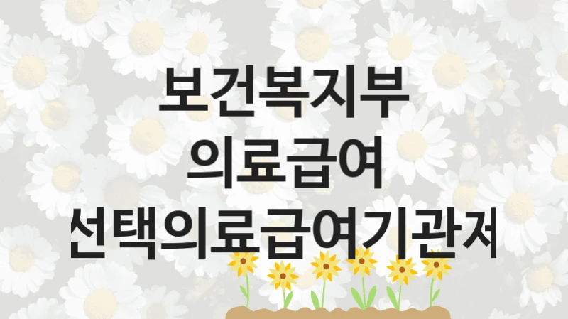보건복지부 “의료급여 선택의료급여기관제” 지원사업 자격 조건과 신청 일정