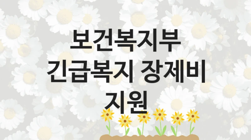 보건복지부 “긴급복지 장제비 지원” 복지 지원 정책 – 자격 요건과 접수 방법