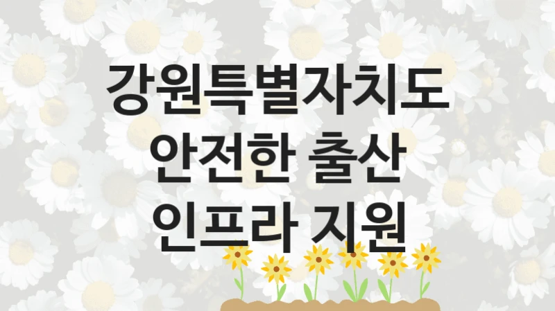 강원특별자치도
안전한 출산 인프라 지원