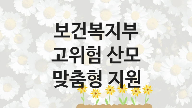 보건복지부 “고위험 산모 맞춤형 지원” 복지 지원 정책 – 자격 요건과 접수 방법