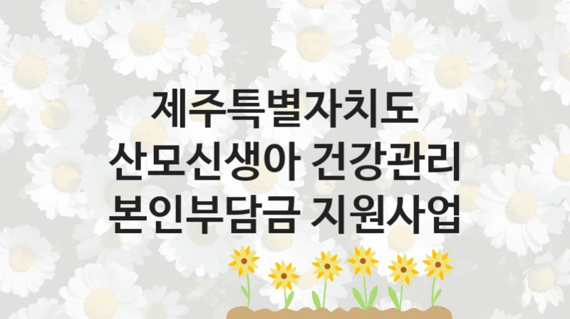 제주특별자치도 “산모신생아 건강관리 본인부담금 지원사업” 신청 주요 정보 – 지원 요건과 필요 서류
