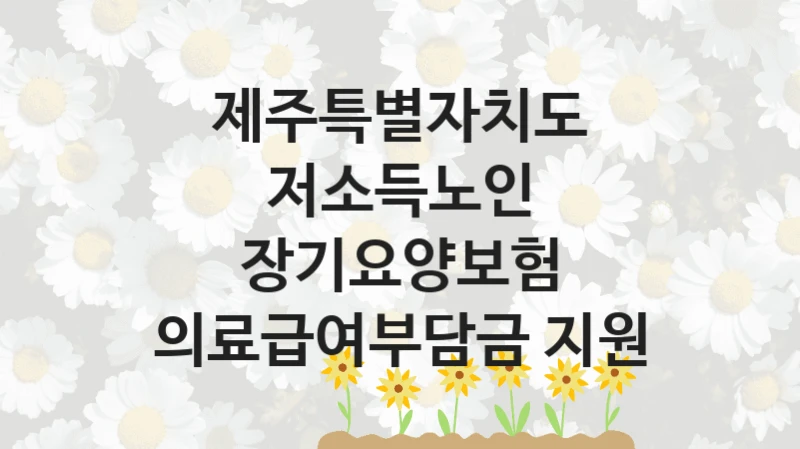 제주특별자치도 “저소득노인 장기요양보험 의료급여부담금 지원” 신청 필수 정보 – 지원 요건과 필요 서류