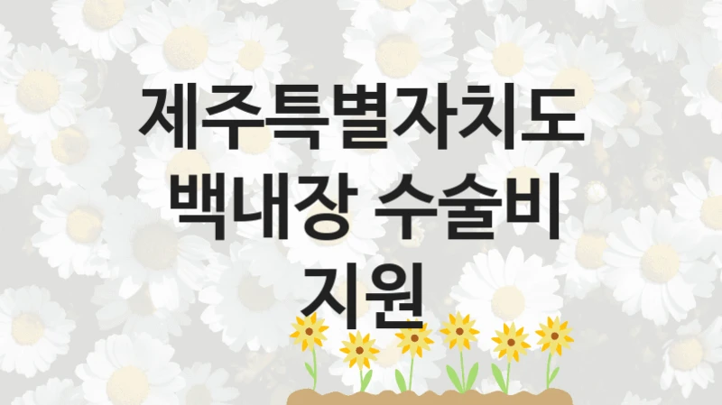 제주특별자치도, 백내장 수술비 지원 지원 정책, 신청 구비 서류와 일정