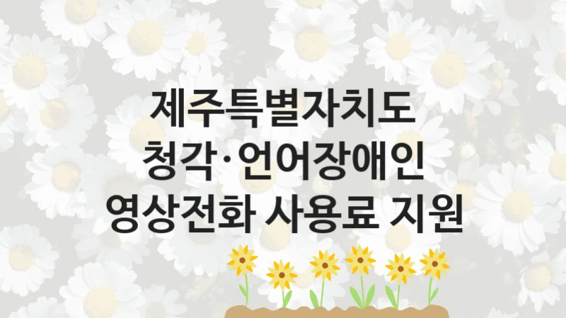 “청각·언어장애인 영상전화 사용료 지원” 복지 혜택 신청부터 지급까지 – 제주특별자치도 지원 정책