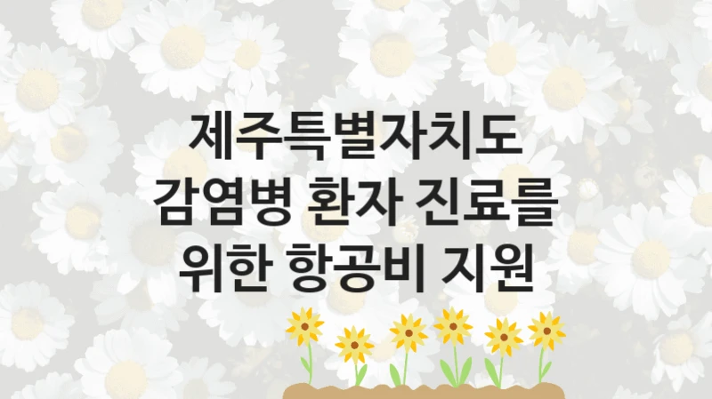 제주특별자치도 정책 “감염병 환자 진료를 위한 항공비 지원” 동부보건소 -신청 방법