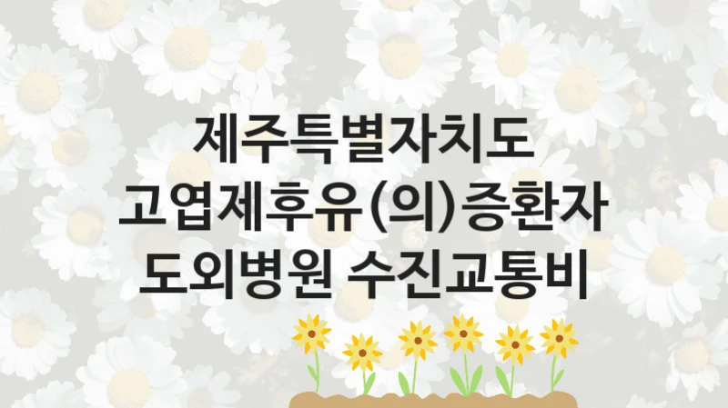 “고엽제후유(의)증환자 도외병원 수진교통비” 제주특별자치도 지원 혜택 – 신청 방법과 구비 서류