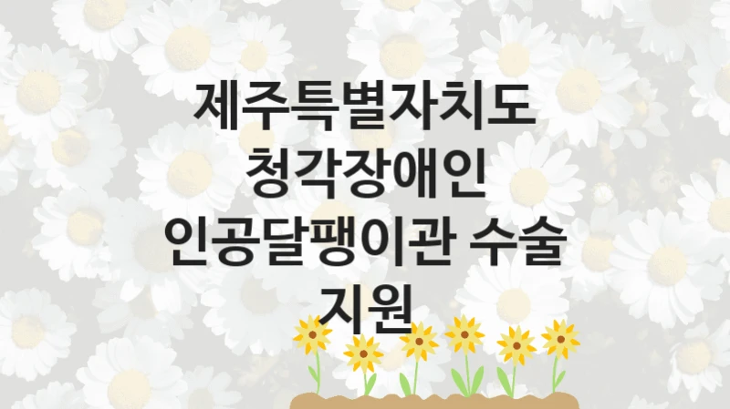 제주특별자치도
청각장애인 인공달팽이관 수술 지원