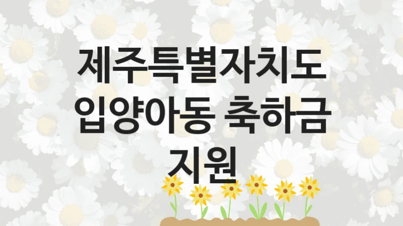 “입양아동 축하금 지원” 혜택 대상자 조건 – 제주특별자치도 복지정책 요건 및 혜택