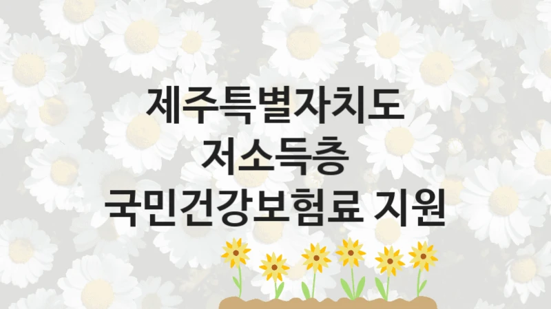 제주특별자치도 지원정책 “저소득층 국민건강보험료 지원” 노인복지과 -신청 구비서류와 자격