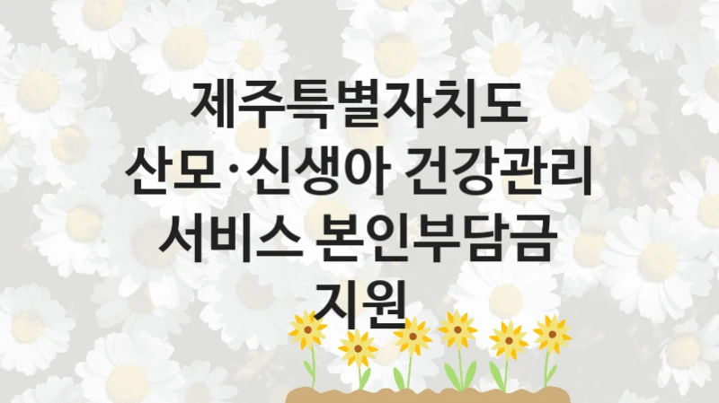 제주특별자치도
산모·신생아 건강관리 서비스 본인부담금 지원