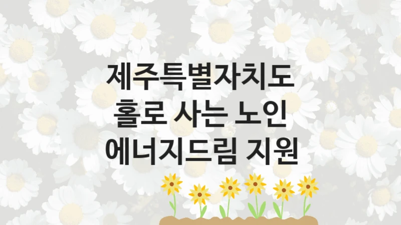 제주특별자치도
홀로 사는 노인 에너지드림 지원