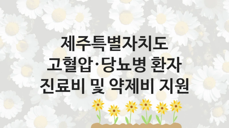 제주특별자치도
고혈압·당뇨병 환자 진료비 및 약제비 지원