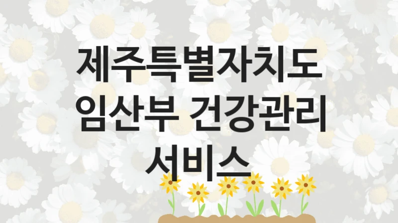 제주특별자치도 정책, 임산부 건강관리 서비스, 신청 방법과 구비 서류