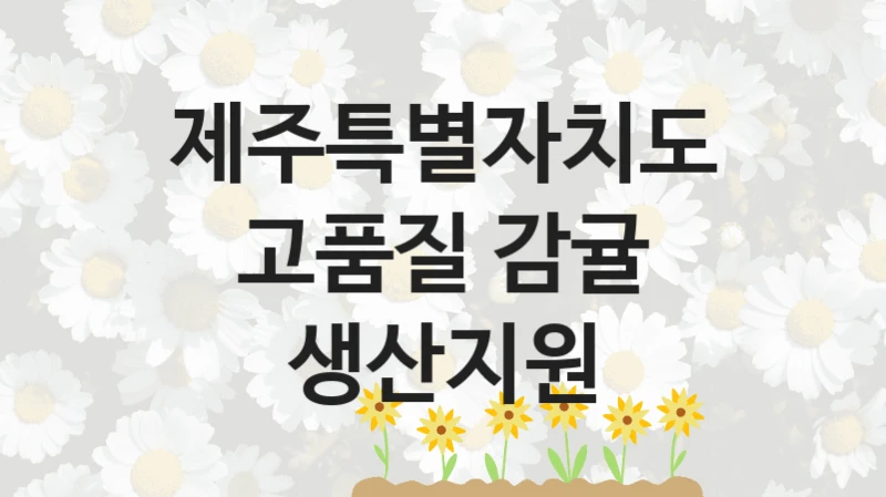 제주특별자치도
고품질 감귤 생산지원