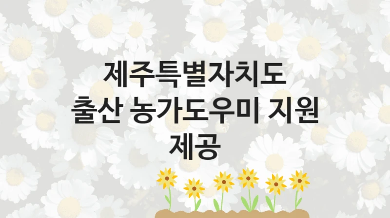“출산 농가도우미 지원 제공” 제주특별자치도 지원 혜택 – 신청 방법과 구비 서류