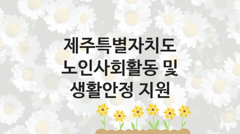 정부 지원 제도 “노인사회활동 및 생활안정 지원” 신청 대상 및 자격 조건 – 제주특별자치도
