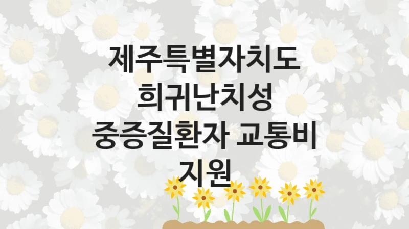 제주특별자치도 “희귀난치성 중증질환자 교통비 지원” 신청 주요 정보 – 지원 요건과 필요 서류