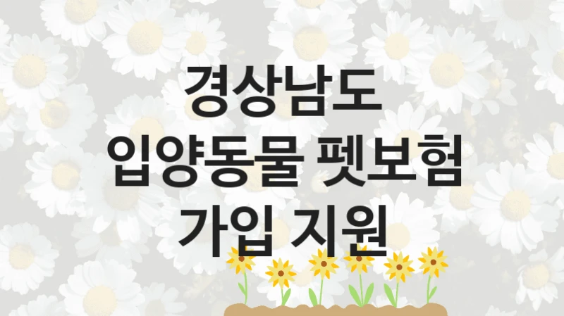 경상남도
입양동물 펫보험 가입 지원