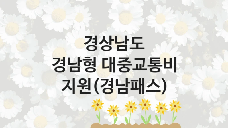공공 복지 프로그램 “경남형 대중교통비 지원(경남패스)” – 경상남도 신청 대상 및 제출 서류