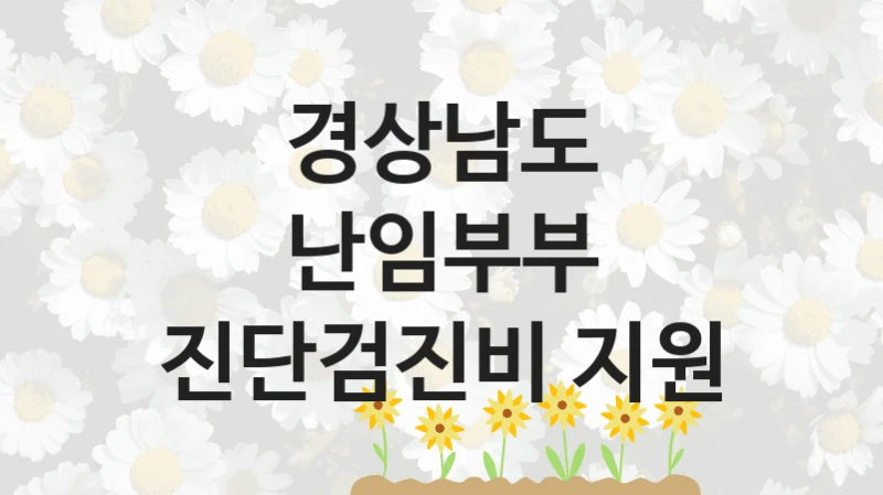 “난임부부 진단검진비 지원” 경상남도 복지지원 혜택 – 자격 조건과 구비 서류