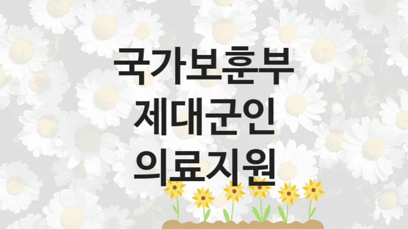 국가 복지 정책 “제대군인 의료지원” 신청 대상 및 자격 조건 – 국가보훈부