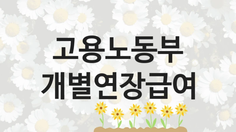 고용노동부
개별연장급여
