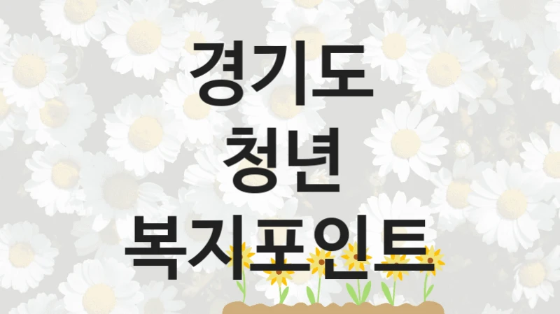 경기도
청년 복지포인트