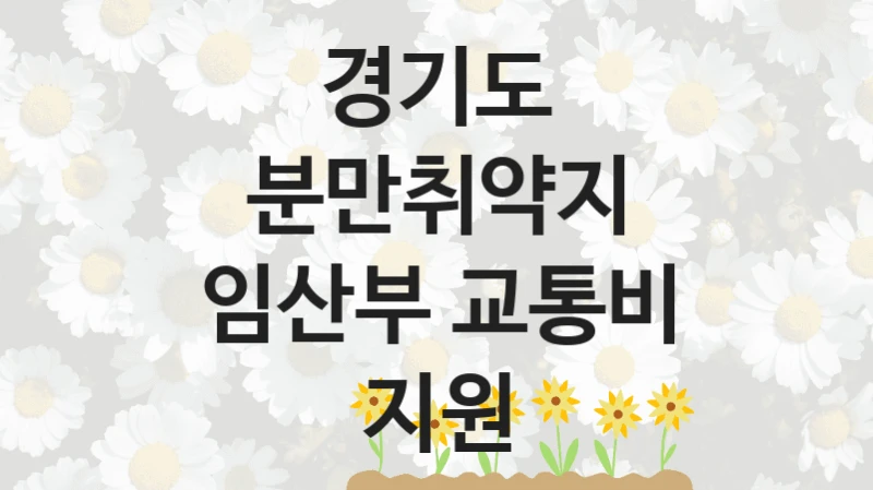 경기도
분만취약지 임산부 교통비 지원