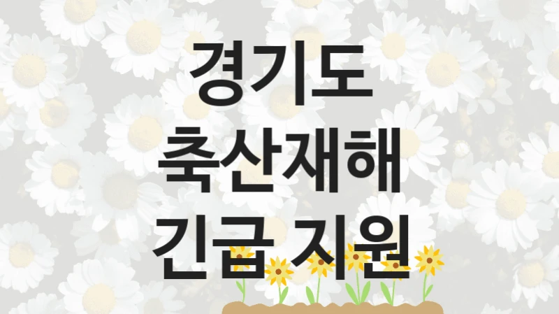 경기도
축산재해 긴급 지원