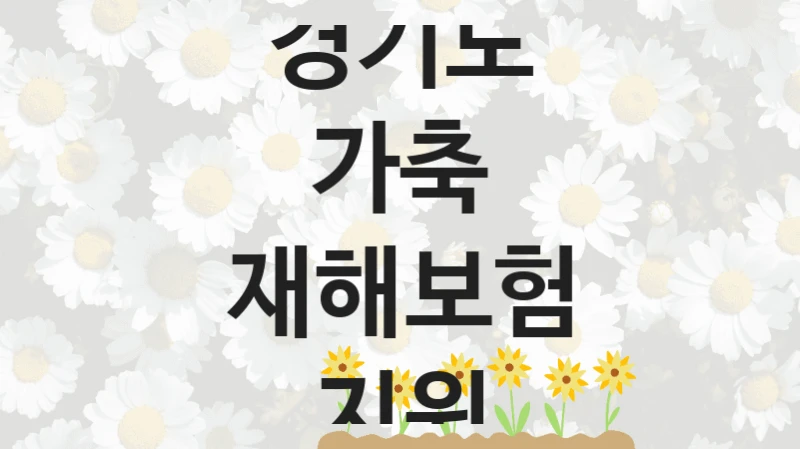 경기도
가축 재해보험 지원