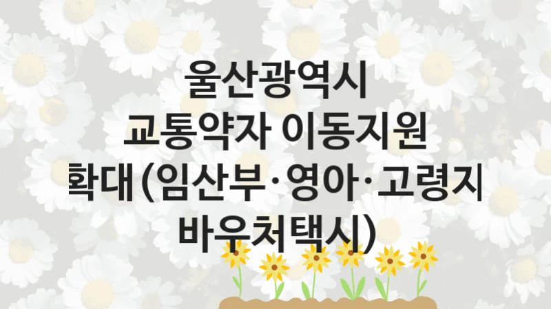 울산광역시
교통약자 이동지원 확대(임산부·영아·고령자 바우처택시)