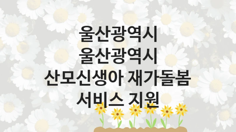 울산광역시
울산광역시 산모신생아 재가돌봄 서비스 지원
