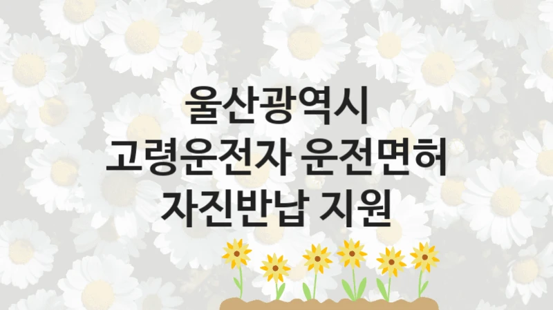 울산광역시
고령운전자 운전면허 자진반납 지원
