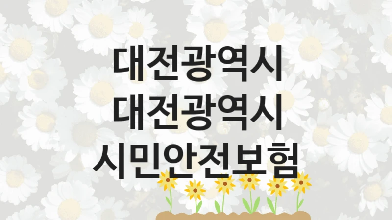 대전광역시
대전광역시 시민안전보험