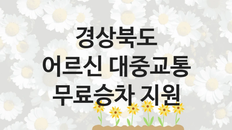 경상북도 복지정책, 어르신 대중교통 무료승차 지원, 신청 방법과 구비 서류