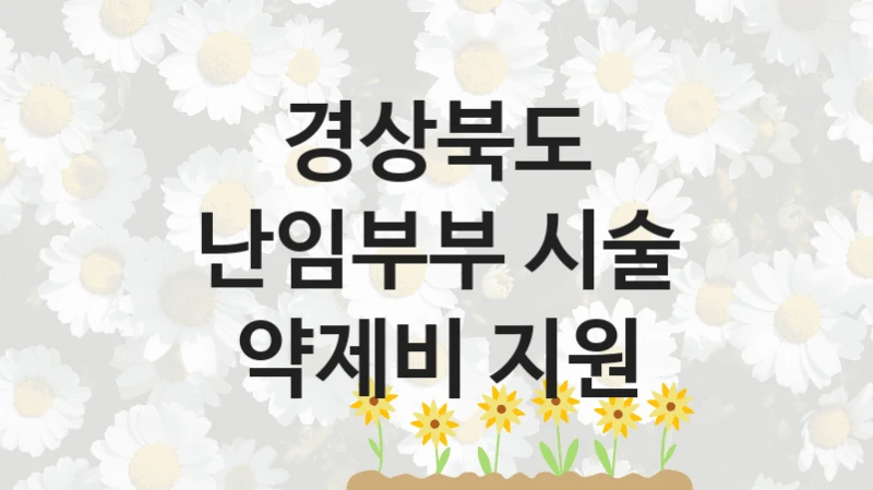 경상북도 “난임부부 시술 약제비 지원” 신청 주요 정보 – 지원 요건과 필요 서류
